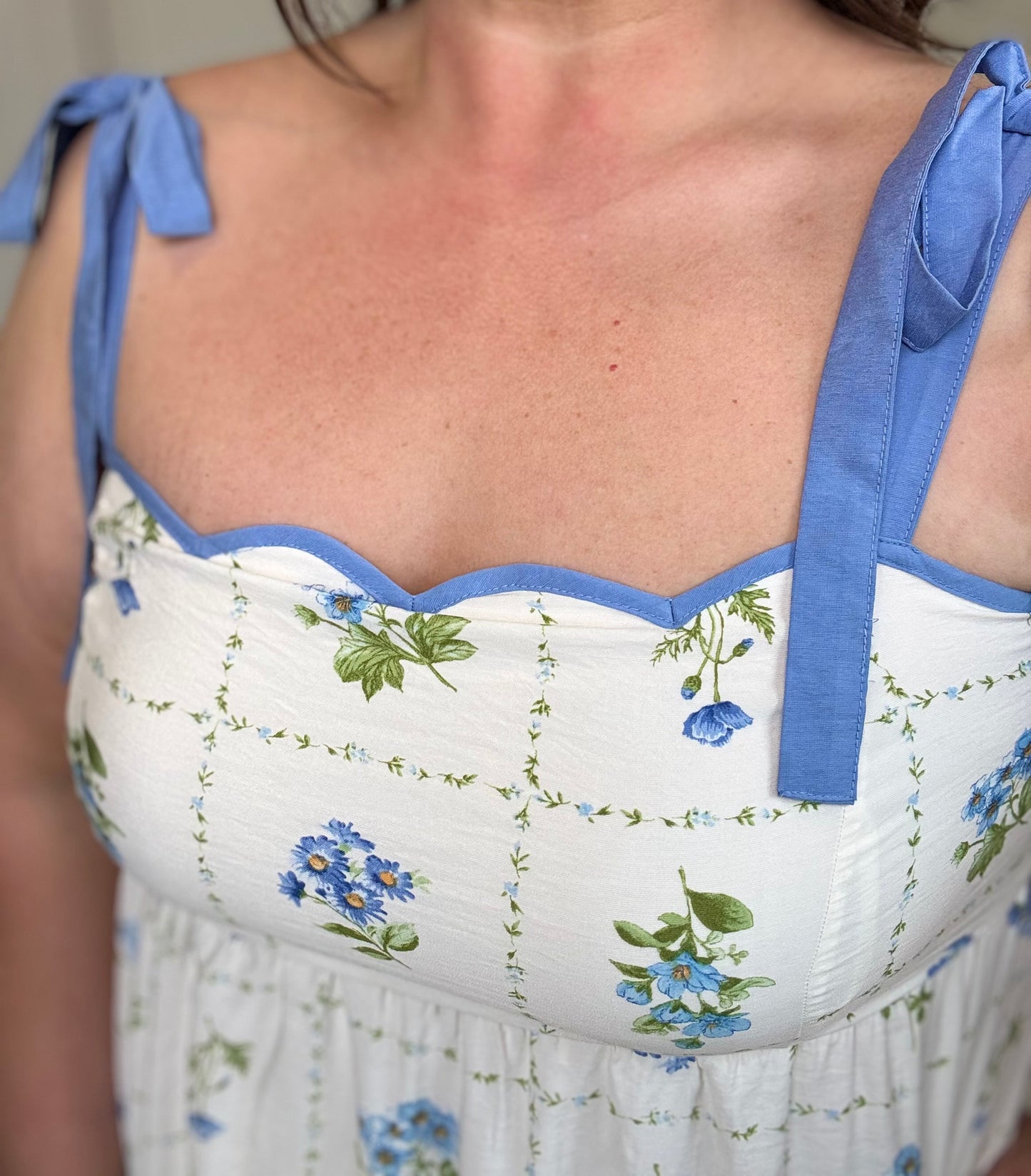 Blue Meadow Dress Plus