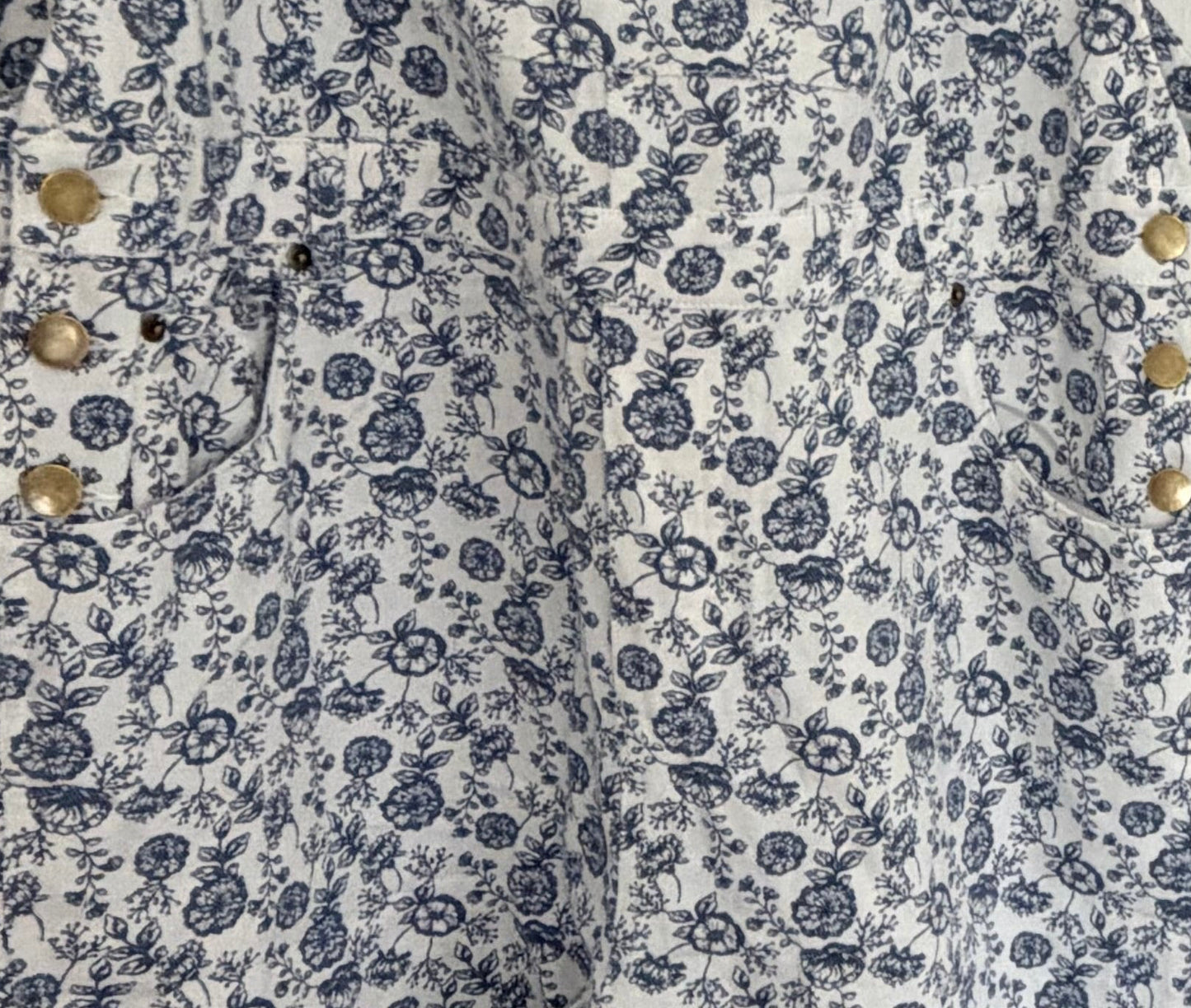 Blue Meadow Overalls